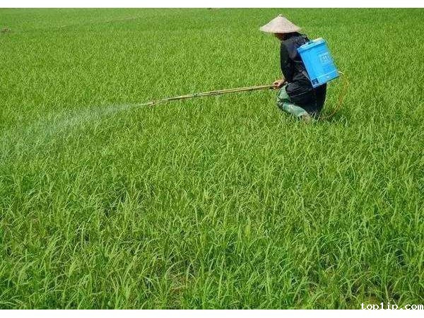 纳米研磨分散农药新剂型产品